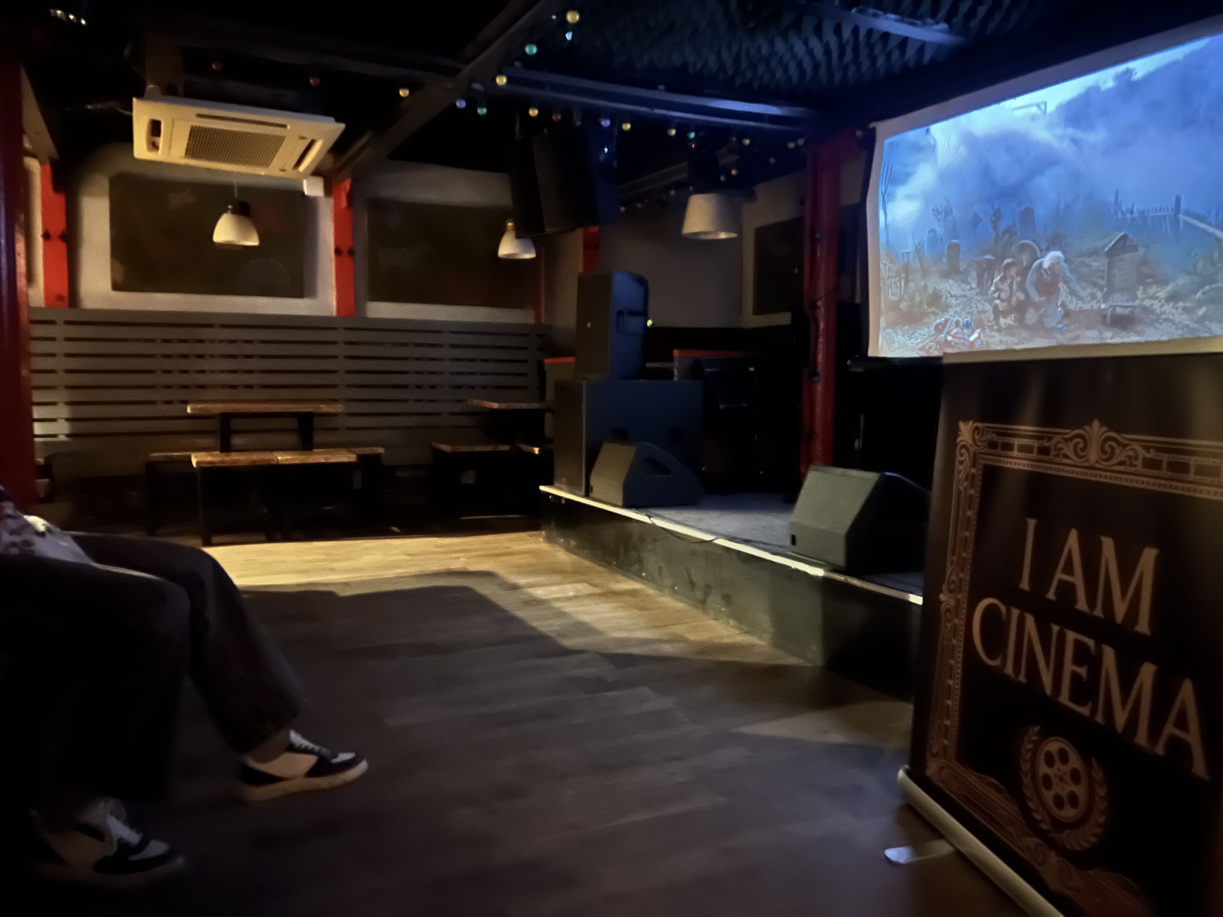 Cinema Screening Room